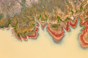 Photo Exhibiton: The Green Desert